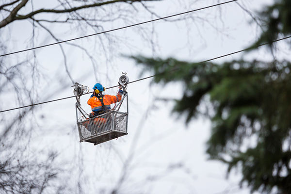 Order electricity connection
